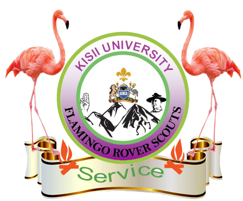 Kisii University Scouts